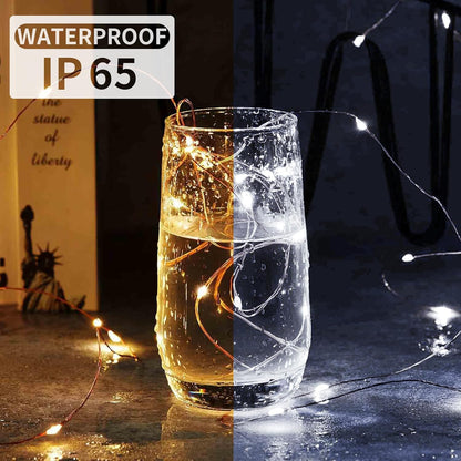 Skiennix 20 LED Fairy String Lights - 7Ft Waterproof Twinkle Lights for Weddings & Parties | Warm White & White