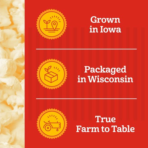 Franklin’s Gourmet Popcorn | All-In-One Popcorn Packs for Machines - 8oz, 10 Count - Buttery Salt & Oil