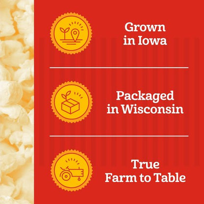 Franklin’s Gourmet Popcorn | All-In-One Popcorn Packs for Machines - 8oz Pack of 10 - Buttery Salt & Oil