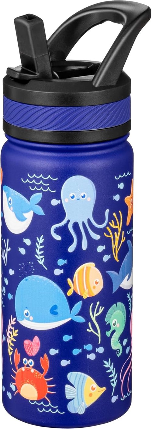 Fanhaw Kids Insulated Water Bottle - 18 Oz Stainless Steel, Leakproof & BPA Free | Blue Ocean Design