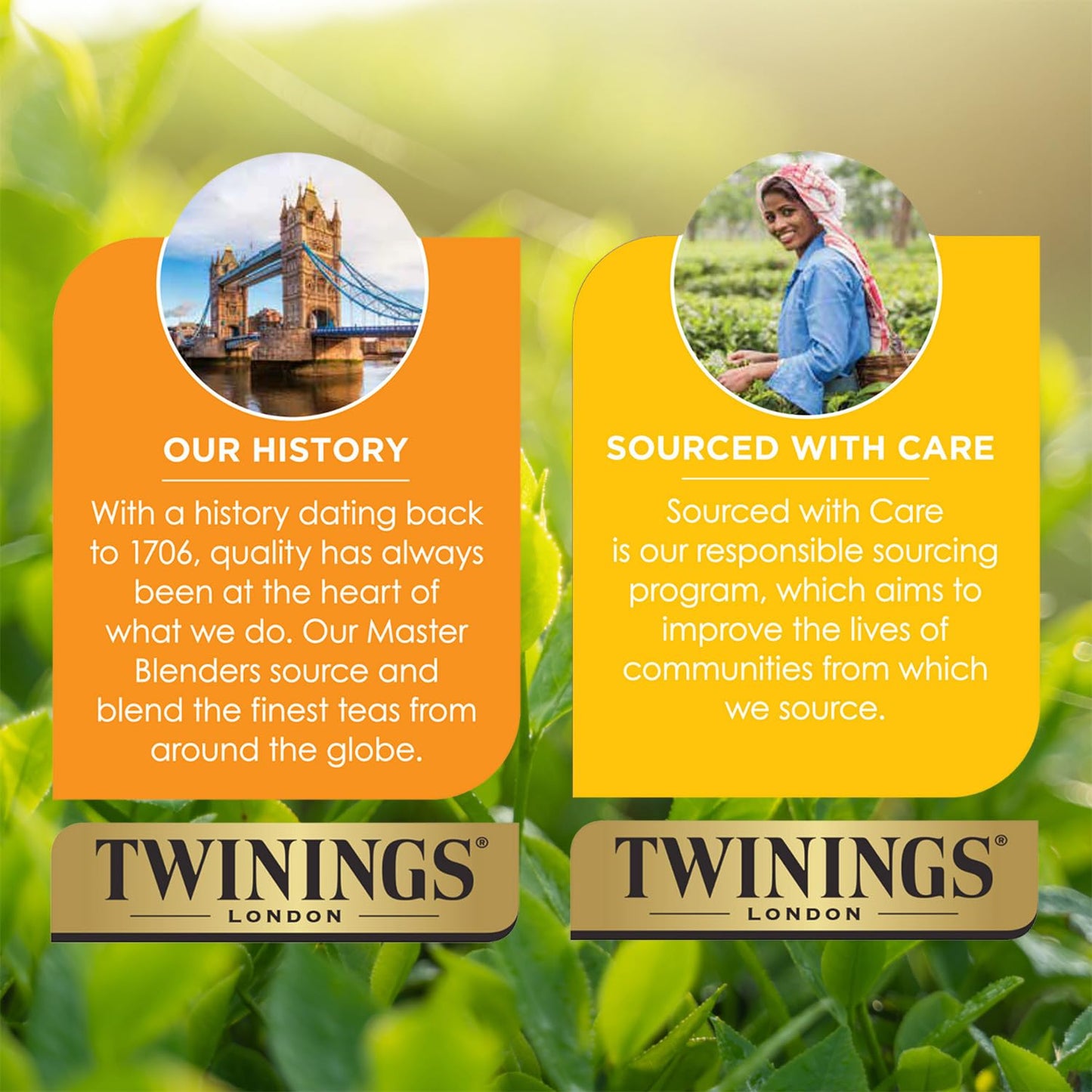 Twinings of London Ceylon Orange Pekoe Tea - Premium Flavor | Box of 20 Tea Bags
