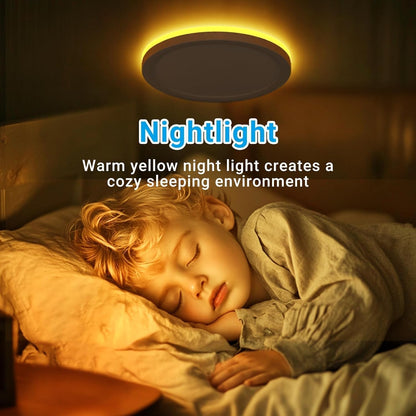 Skiennix 12-Inch LED Ceiling Light - 24W 2400LM Adjustable Warm to Cold White | Round Flush Mount for Bedroom, Bathroom, Kitchen