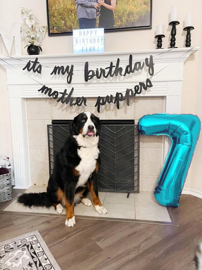 Skiennix 40-Inch Light Blue Number 9 Balloon - Perfect for Birthday Parties, Weddings & Graduations