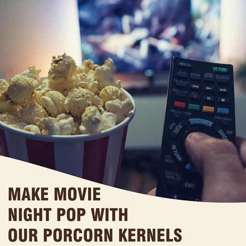 Concession Essentials Gourmet Mushroom Popcorn Kernels - Extra Large 4lbs for Perfect Popping