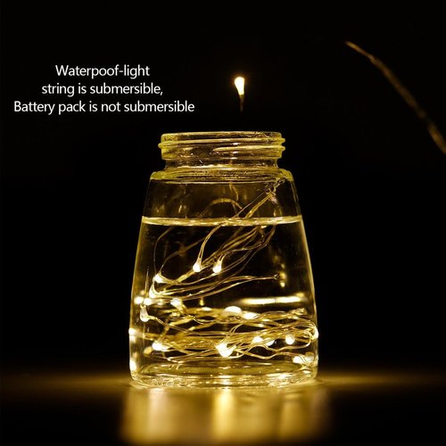 LIIDA LED Fairy String Lights - 12-Pack of 20 Micro Lights on Silver Copper Wire | Warm White for DIY Decor