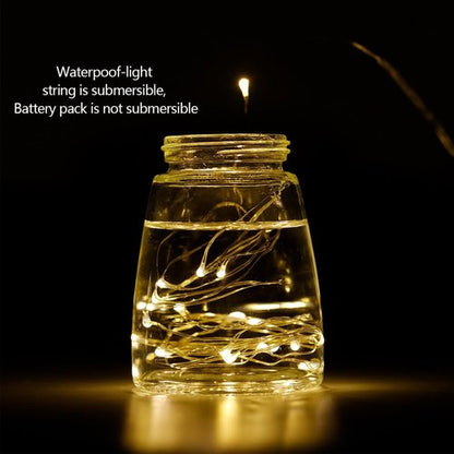 LIIDA LED Fairy String Lights - 12-Pack of 20 Micro Lights on Silver Copper Wire | Warm White for DIY Decor