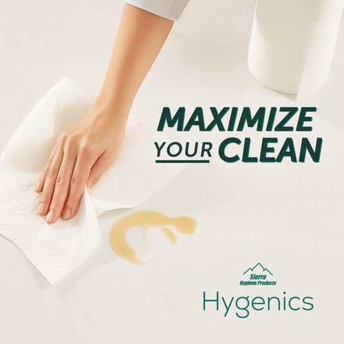 Sierra Hygenics Max 2-Ply Paper Towels, 160 Sheets (11" x 7") Per Roll, Pack of 12 Rolls = 40 Regular Rolls