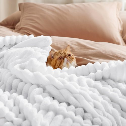 Bedsure GentleSoft King Throw Blanket for Couch - Cozy Soft Blankets for Women, Cute Small Fleece Throws for Girls, Bright White, 108x90 Inches