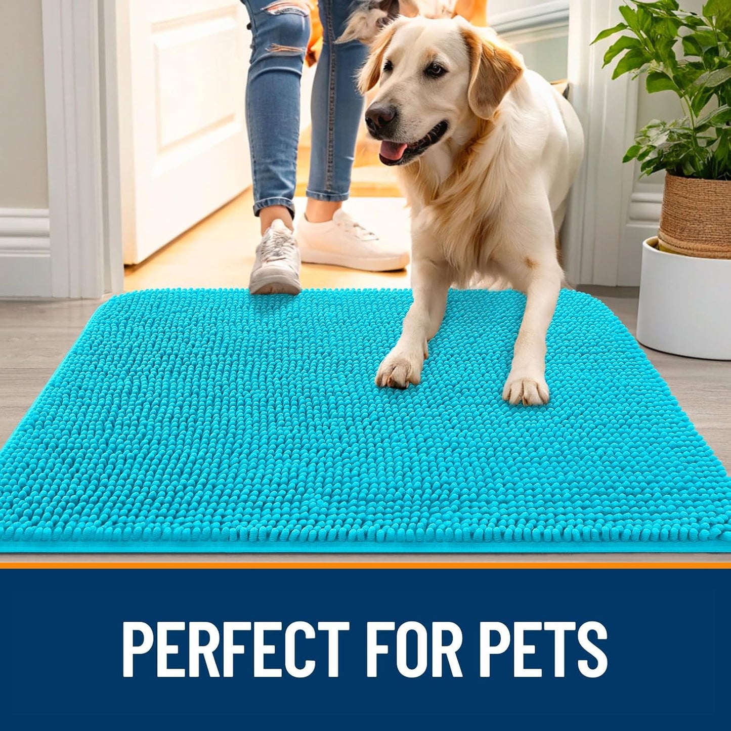 OLANLY Dog Door Mat - Absorbent Non-Slip Washable Mud Mat for Indoor Use | Aqua Blue 47x32
