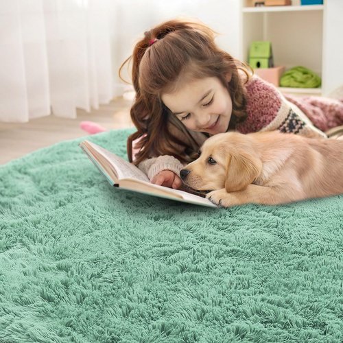OLANLY Mint Green Round Rugs for Bedroom - Machine Washable, 5 ft Circle Area Rugs for Living Room, Soft and Fluffy Shaggy Carpet for Teen Girls and Boys, Nursery Rooms, Dorms, Home Decor Aesthetic