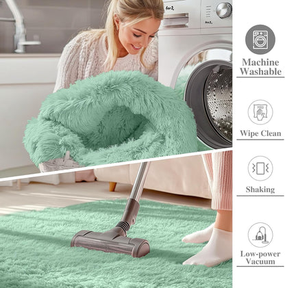 OLANLY Area Rug - Soft Fluffy Shaggy Indoor Carpet for Living Room & Bedroom | 4x5.9 ft Mint Green