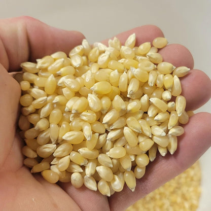 Princeton Farmer Bob's Baby White Popcorn Kernels - Tender Hulless 2lb Bag | Fresh & Delicious Flavor
