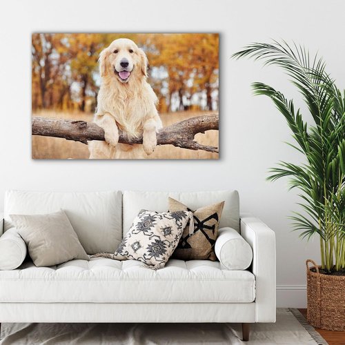 Custom Canvas Prints - Personalized Photo Wall Art for Family, Pets & Couples | Framed 12x8