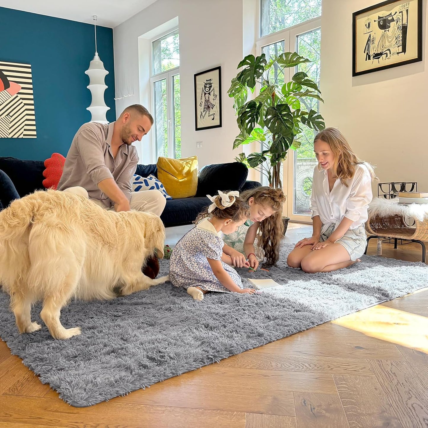 OLANLY Large Area Rug - Soft Fluffy Shaggy Carpet for Living Room & Bedroom | 5x8 Light Grey