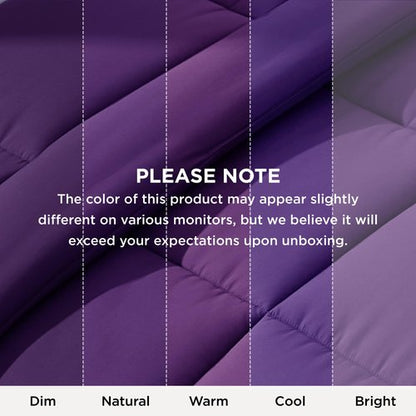 Bedsure Comforter Duvet Insert - Quilted Comforters Oversize Queen Size, All Season Duvet, GentleSoft Down Alternative Bedding Blanket, with 8 Tabs, Gifts for Women/Men, Purple, Oversize Queen 98x98