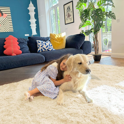 OLANLY Area Rugs - Soft Fluffy Shaggy Carpet for Living Room & Bedroom | Machine Washable 4x5.9 ft in Cream