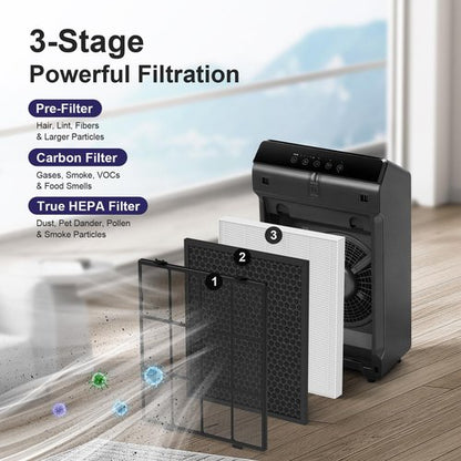 Filter Q – 1712-0123-00 Replacement filter for Winix 5510 and 5520 Air Purifier, 5510 Replacement Combo Pack Includes: 2 HEPA & 2 Carbon Filter