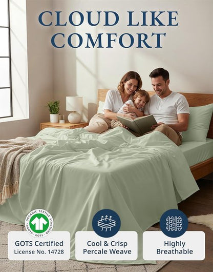 LANE LINEN Organic Cotton Queen Sheet Set - Soft & Breathable 4-Piece Bed Set in Mineral