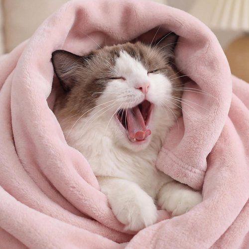 Bedsure GentleSoft Fleece Bed Blanket - Cozy Plush Microfiber Full Size Pink, 84x90 Inches