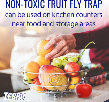 Terro T2503-3 Fruit Fly Trap - Effective Indoor Pest Control | Safe & Non-Toxic Solution