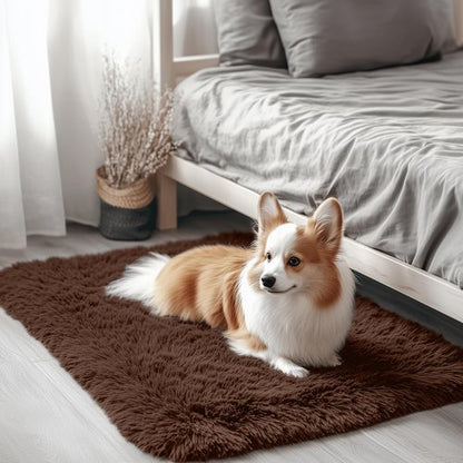 OLANLY 2x2 Machine Washable Small Rug, Soft Fluffy Shaggy Throw Rug for Bedroom, Entryway, Indoor Floor Carpet for Kids, Nursery, Home Decor, Coffee