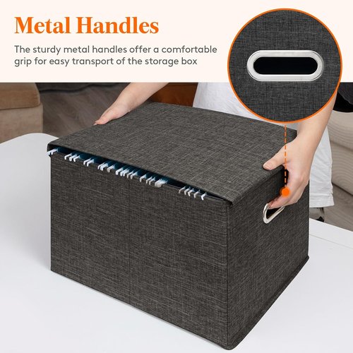 Lifewit File Organizer Box - Portable A4 Document Storage with Plastic Slide | Dark Gray, 2 Pack