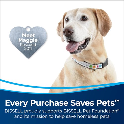 Bissell CleanView Rewind Vacuum - Bagless Design with Automatic Cord Rewind & Active Wand, Model 3534
