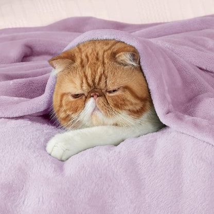 Bedsure GentleSoft Fleece Blanket - Lightweight Plush Cozy Twin Size Lilac 300GSM | 60x80 Inches