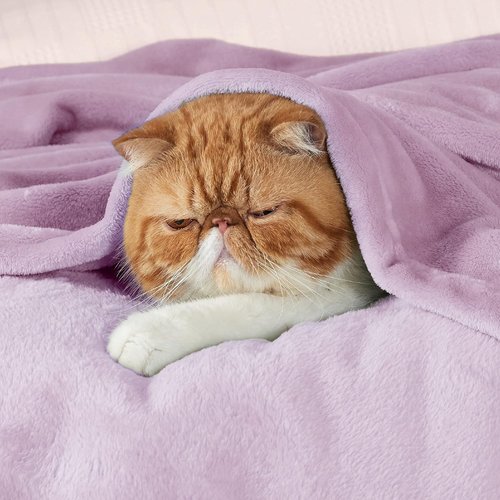 Bedsure GentleSoft Fleece Blanket - Cozy Small Throw for Kids | 43x55 Inches, Lilac Color