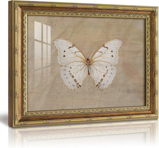 VIYYIEA Vintage White Butterfly Wall Art - 13x16 Inch Glass Framed Canvas Decor for Home & Office