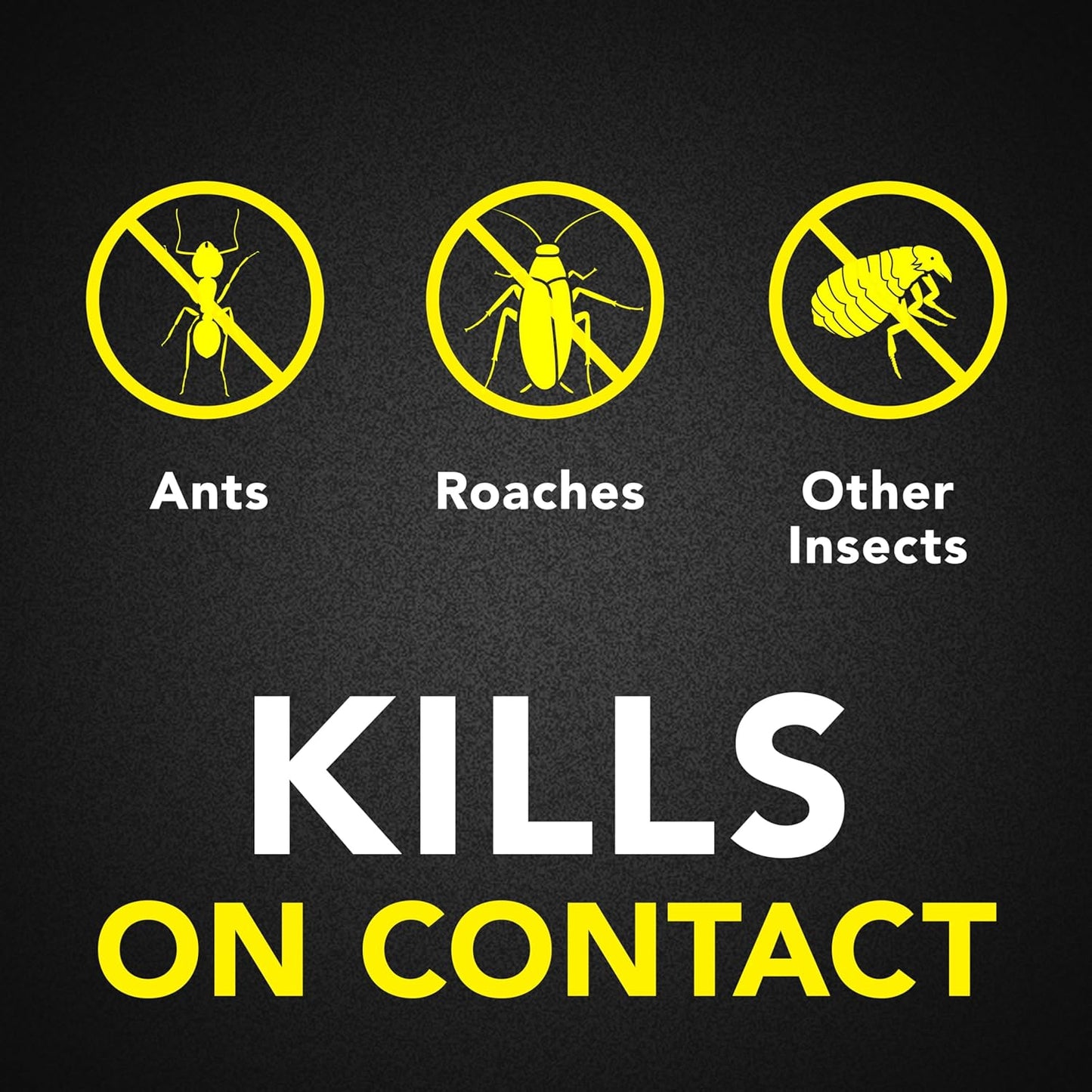 Raid Ant & Roach Killer Spray - Long-Lasting Lavender Scent, 17.5 oz | Pack of 2