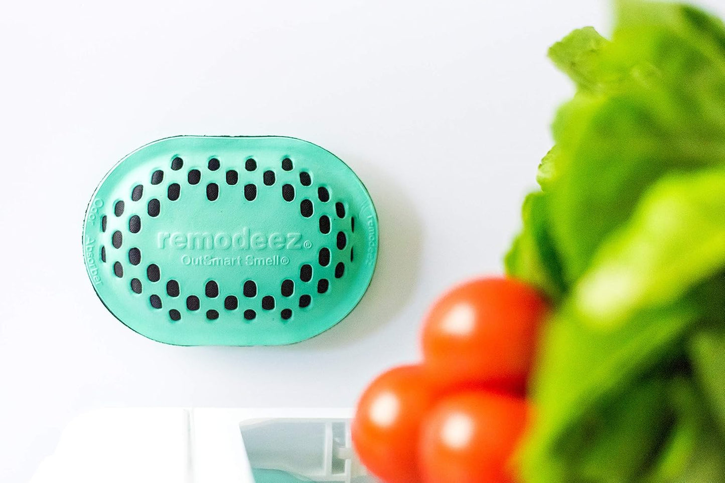 Remodeez Refrigerator Deodorizer - Activated Charcoal Odor Eliminator | Air Purifier Bags