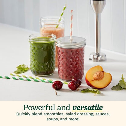 Cuisinart CSB-179 Hand Blender - Variable Speed Control | Durable Stainless Steel Design