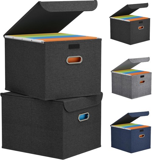 Lifewit File Organizer Box - Portable A4 Document Storage with Plastic Slide | Dark Gray, 2 Pack