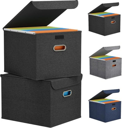 Lifewit File Organizer Box - Portable A4 Document Storage with Plastic Slide | Dark Gray, 2 Pack