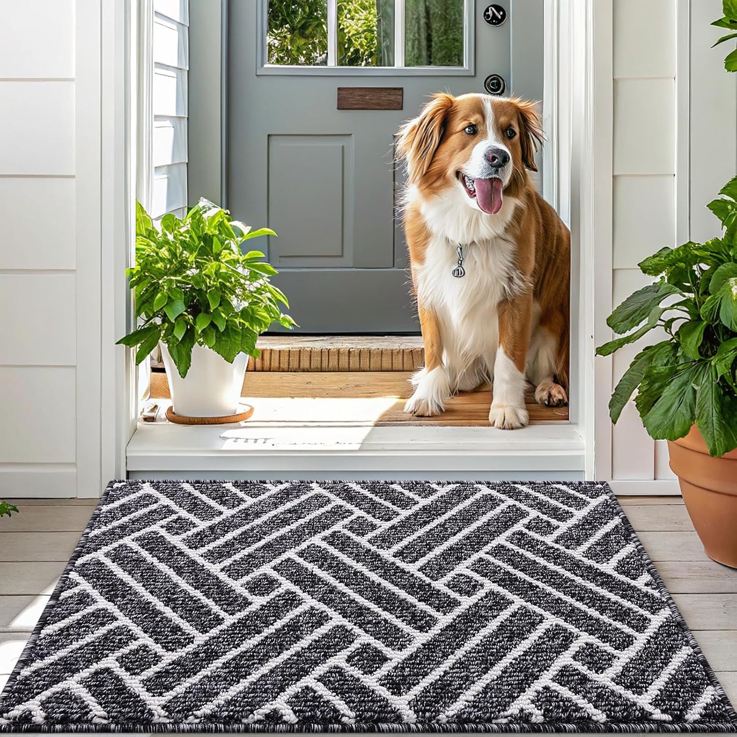 OLANLY Indoor Door Mat - Dirt Resistant & Absorbent | Non-Slip Rubber Backing, 32x20 Inch, Black