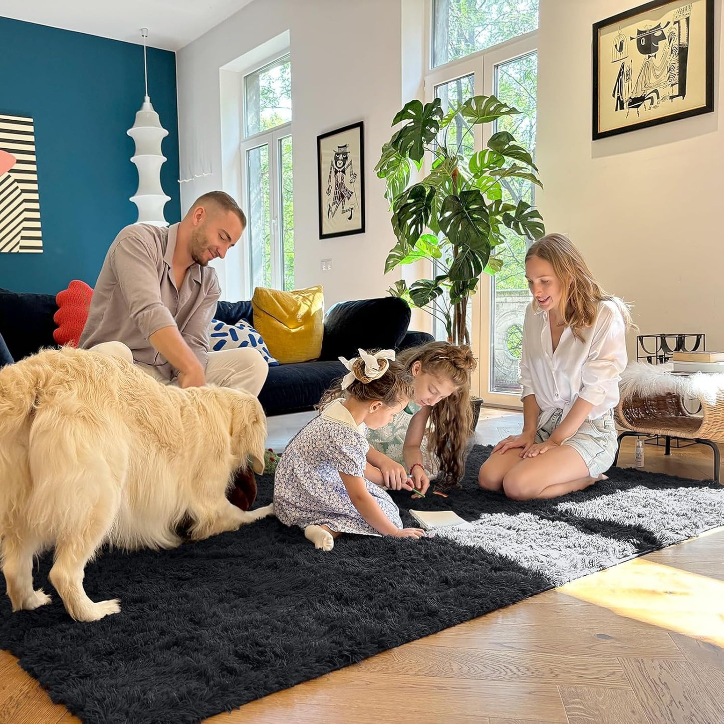 OLANLY Large Area Rug - Soft Fluffy Shaggy Carpet for Living Room & Bedroom | 9x12 ft, Black
