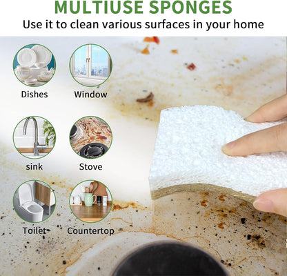 Skiennix Biodegradable Kitchen Sponge - Eco-Friendly Cellulose & Coconut Scrubber | 9 Pack