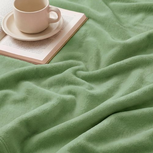 Bedsure GentleSoft Green Fleece Blanket - Soft, Lightweight Plush Queen Size, Emerald, 90x90 Inches