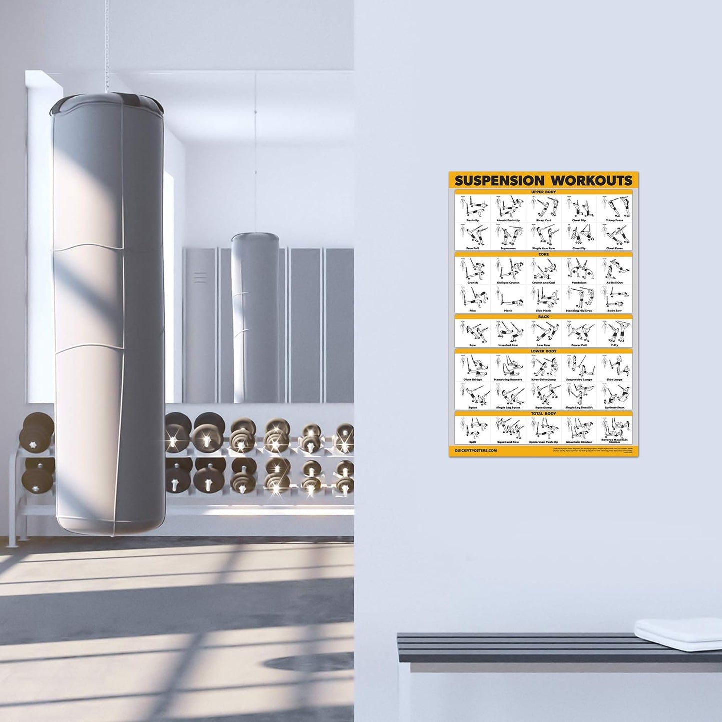 Skiennix Exercise Workout Poster Set - 10 Pack Laminated Fitness Charts | 18" x 24" Size