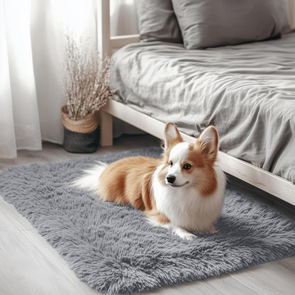OLANLY Small Bedside Rug - Soft Fluffy Shaggy Indoor Carpet for Bedroom & Nursery | Light Grey 2x3