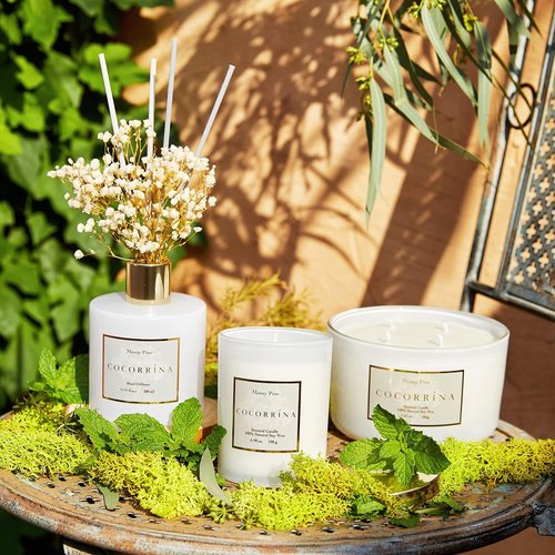 Cocorrína Premium Reed Diffuser Set - Coconut Lime Scent with Preserved Baby's Breath | 6.7oz Home Décor