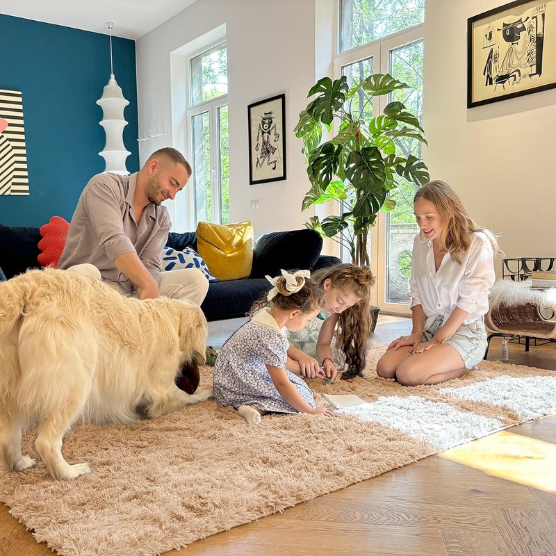 OLANLY 4x8 Area Rugs for Living Room Bedroom, Machine Washable Soft Fluffy Shaggy Bedside Rug, Indoor Floor Carpet for Kids Girls and Boys, Dorms, Nursery Rooms, Home Decor Aesthetic, Beige