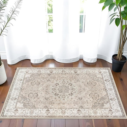 Regine Switzerland Washable 2x3 Entryway Area Rug - Soft Non-Slip Vintage Kitchen Runner in Beige