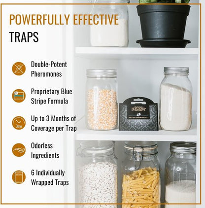Dr. Killigan's Pantry Moth Traps - Double Potent Pheromone Sticky Traps for Kitchen | 6 Pack, Black