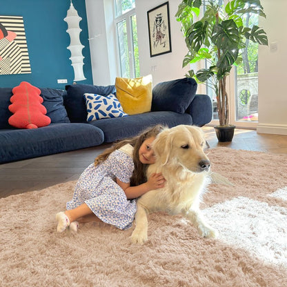 OLANLY 4x8 Area Rugs for Living Room Bedroom, Machine Washable Soft Fluffy Shaggy Bedside Rug, Indoor Floor Carpet for Kids Girls and Boys, Dorms, Nursery Rooms, Home Decor Aesthetic, Beige