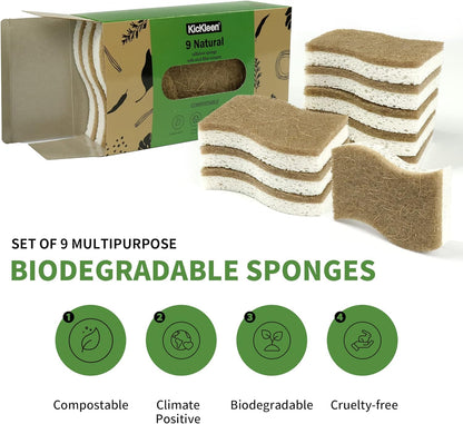 Skiennix Biodegradable Kitchen Sponge - Eco-Friendly Cellulose & Coconut Scrubber | 9 Pack