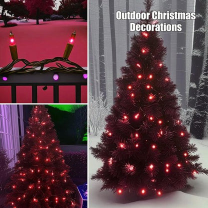 HISHINY Christmas Lights - 100 Count Red String Lights for Indoor/Outdoor Decor | UL Certified, 21 Feet