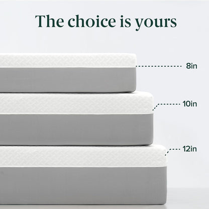 Zinus 12 Inch Green Tea Essential Memory Foam Mattress - Queen Size, Breathable & Fiberglass Free