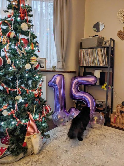 14-Inch Purple Foil Number Balloons by [Brand Name] - Large 14th Birthday Decorations for Weddings & Events